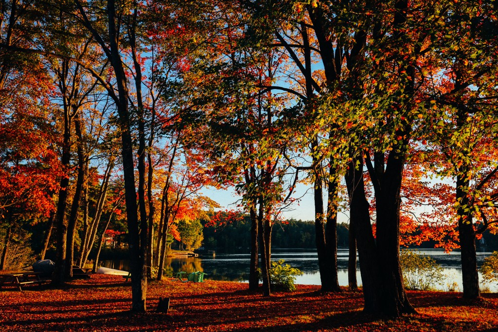 New Hampshire Foliage